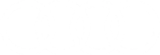 audi-logo